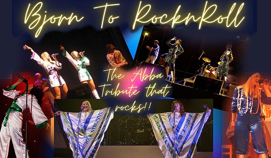 Abba Tribute Bjorn to Rock 'n' Roll at Waltham Abbey Town Council