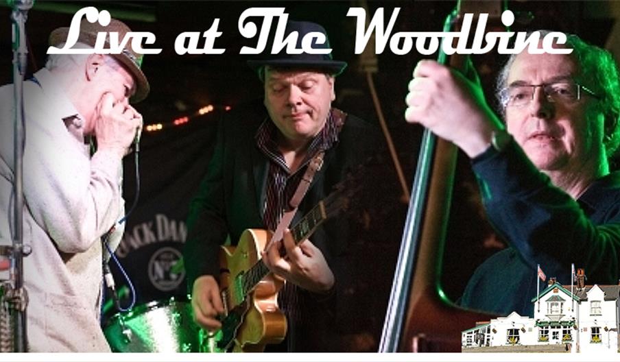 The Hill Street Blues Band Live at the Woodbine. Guaranteed to make you dance your socks off