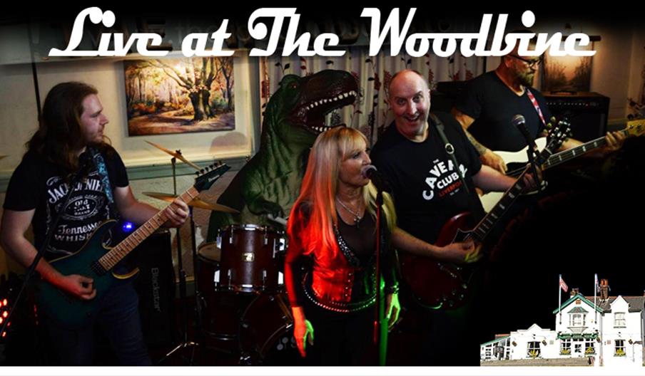 The Rock Dinosaurs, live at The Woodbine Waltham Abbey