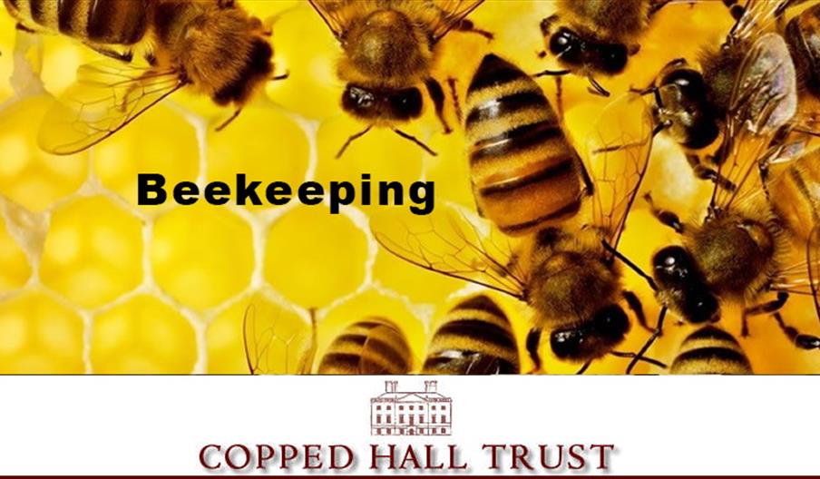 Beekeeping Workshop at Copped Hall