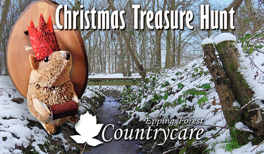 Countrycare Children's Christmas Treasure Hunt at Roughtallys Wood in North Weald on Monday 23rd December 2024