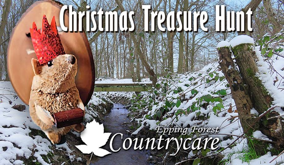 Countrycare Christmas Treasure Hunt in Roughtallys Wood. North Weald