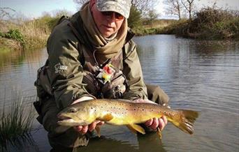 Trout at Thornwood Springs Fishery, Epping.