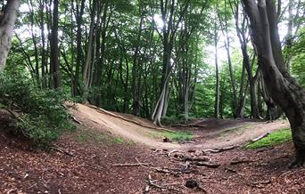 The, now eroded, hill fort banks at Ambresbury.