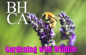 Gardening with Wildlife