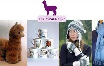 The Alpaca Shop at Butler's Farm and online.