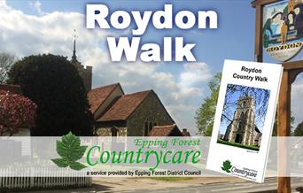 Roydon walk starts out from its village green and church.