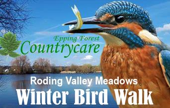 Epping Forest Countrycare Winter Bird Walk at Roding Valley Meadows.