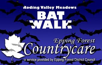 Countrycare Bat Walk at Roding Valley Meadows