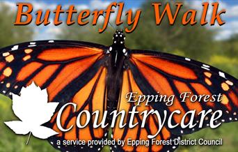 Countrycare Butterfly Walk at Roding Valley Meadows