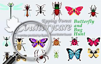 Countrycare Butterfly and Bug Hunt at Roding Valley Meadows