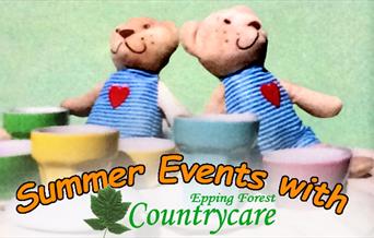 A Teddy Bear's Picnic