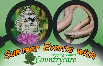 Wildlife Discoveries