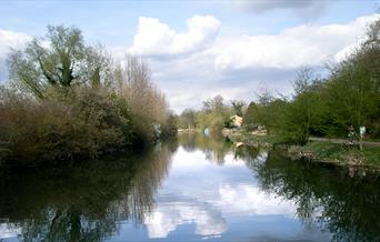 What better way to see the Lee Valley than by a cruise boat.