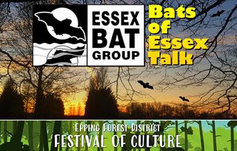 Bats of Essex Talk