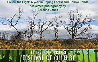 Photograph by Caroline Jones from her book Follow the Light: A year in Epping Forest and Hollow Ponds’