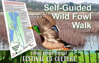 Self-Guided Wild Fowl Walk