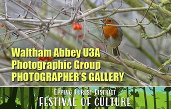 Waltham Abbey U3A Photograhpic Group - Photographer's Gallery