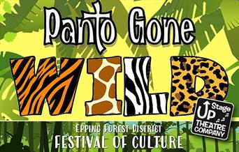 Panto Gone Wild!