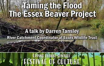 Taming the Flood - The Essex Beaver Project