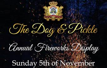 Fireworks Display at The Dog and Pickle - Sunday 5th November