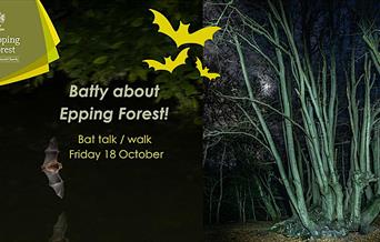 Epping Forest Bat Walk and Talk