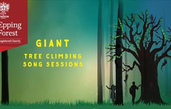Giant Tree Climbing Song Sessions
