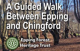 Epping Forest Heritage Trust guided walk between Epping and Chingford Stations
