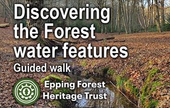 Epping Forest Heritage Trust guided walk discovering the water features of Epping Forest