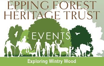 Explore Wintry Wood between Epping and North Weald