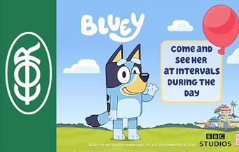 Come and see Bluey at Epping Ongar Railway