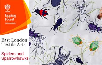 Spiders and Sparrowhawks