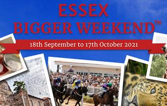 Essex Bigger Weekend, 18th September to 17th October