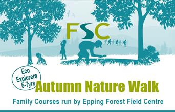 Epping Forest Field Centre children's Autumn Nature Walk for 5 to 7 year olds.