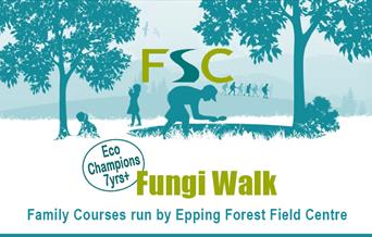Epping Forest Field Centre Fungi Walk in Epping Forest.