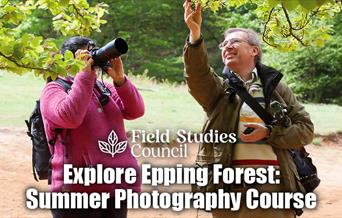 Explore Epping Forest: Summer Photography Course with the Field Studies Council.