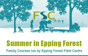 Epping Forest Field Centre summer family activities for children