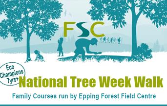 Epping Forest Field Centre National Tree Week Walk in Epping Forest