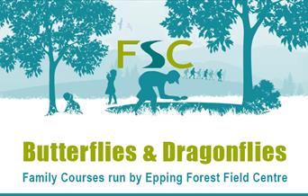 Discover all about butterflies and dragonflies at the Epping Forest Field Centre