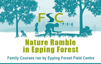 Nature Ramble in Epping Forest