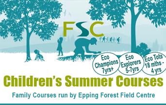 Epping Forest Field Centre Children's Summer Courses in Epping Forest.