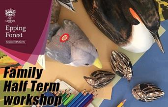 Drawing birds a half term workshop at The View, Epping Forest.