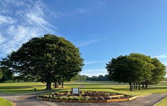 Hainault Golf Club tee box and trees