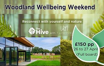 Treat yourself to a wellbeing weekend, with the perfect blend of activities for body and mind, set within peaceful Epping Forest and The Hive grounds.