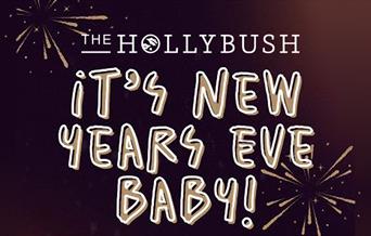 It's New Year's Eve Baby! The Hollybush, Loughton