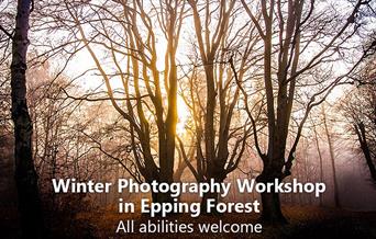 Winter Photography Workshop and walk in Epping Forest
