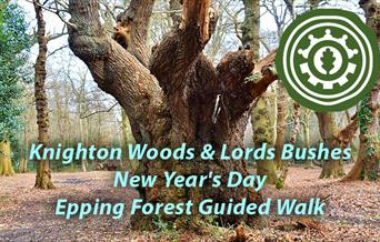 New Year's Day Walk - Discovering Knighton Woods