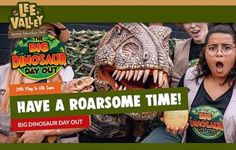 29th May to 6th June
Have a roarsome time!
Big Dinosaur Day Out