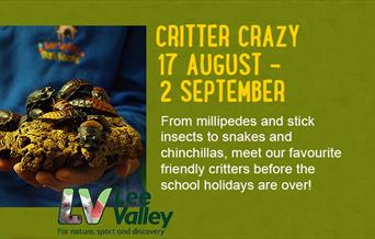 Critter Crazy 17th August - 2nd September