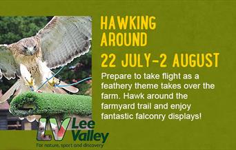 Hawking Around 22nd July - 2nd August